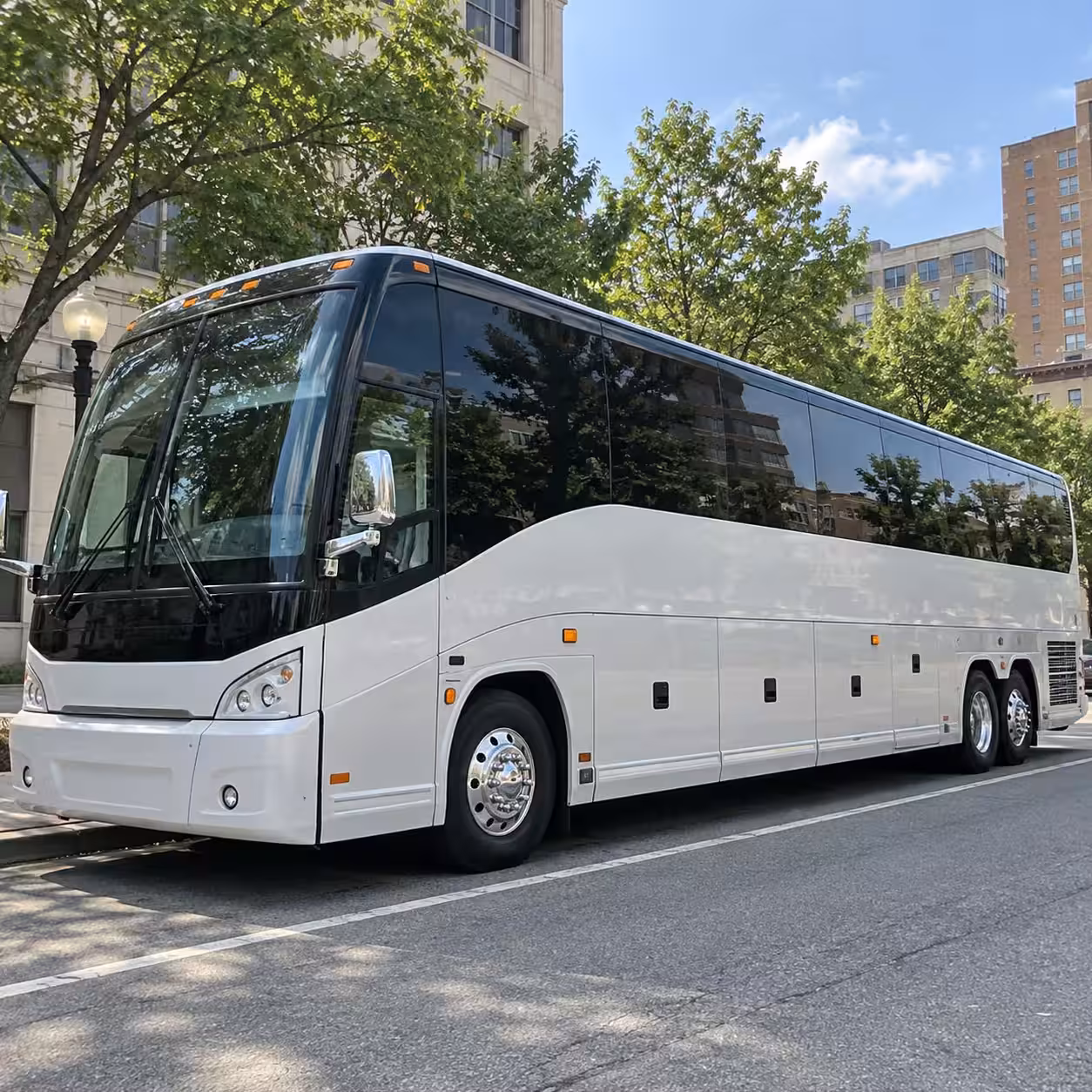 san mateo sporting event transportation for any group size